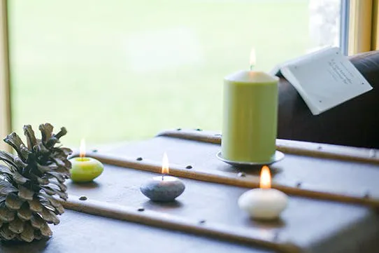 Gites du Bois Peschard - Bretagne - Morbihan -Ambiance bougis